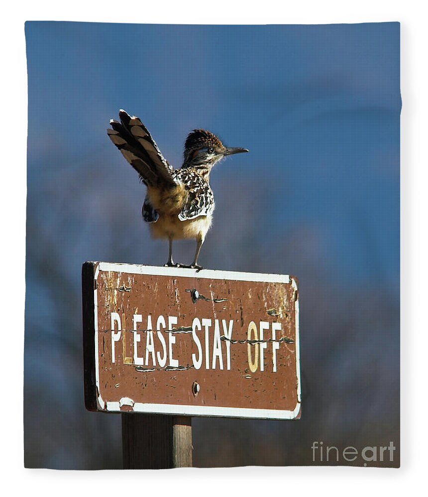Sign Fleece Blanket featuring the photograph Please Stay Off by Jane Axman