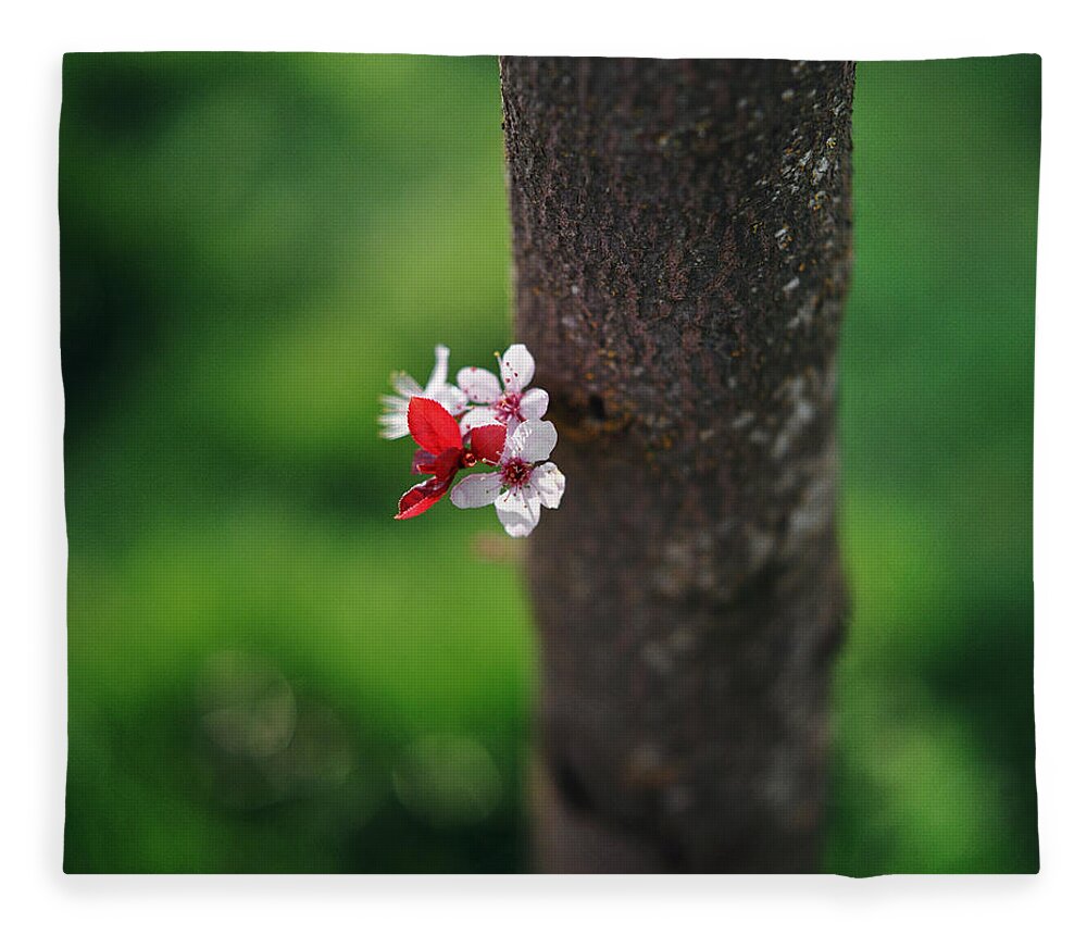 Bunch Fleece Blanket featuring the photograph Plum Blossom On Tree Trunk by Danielle D. Hughson