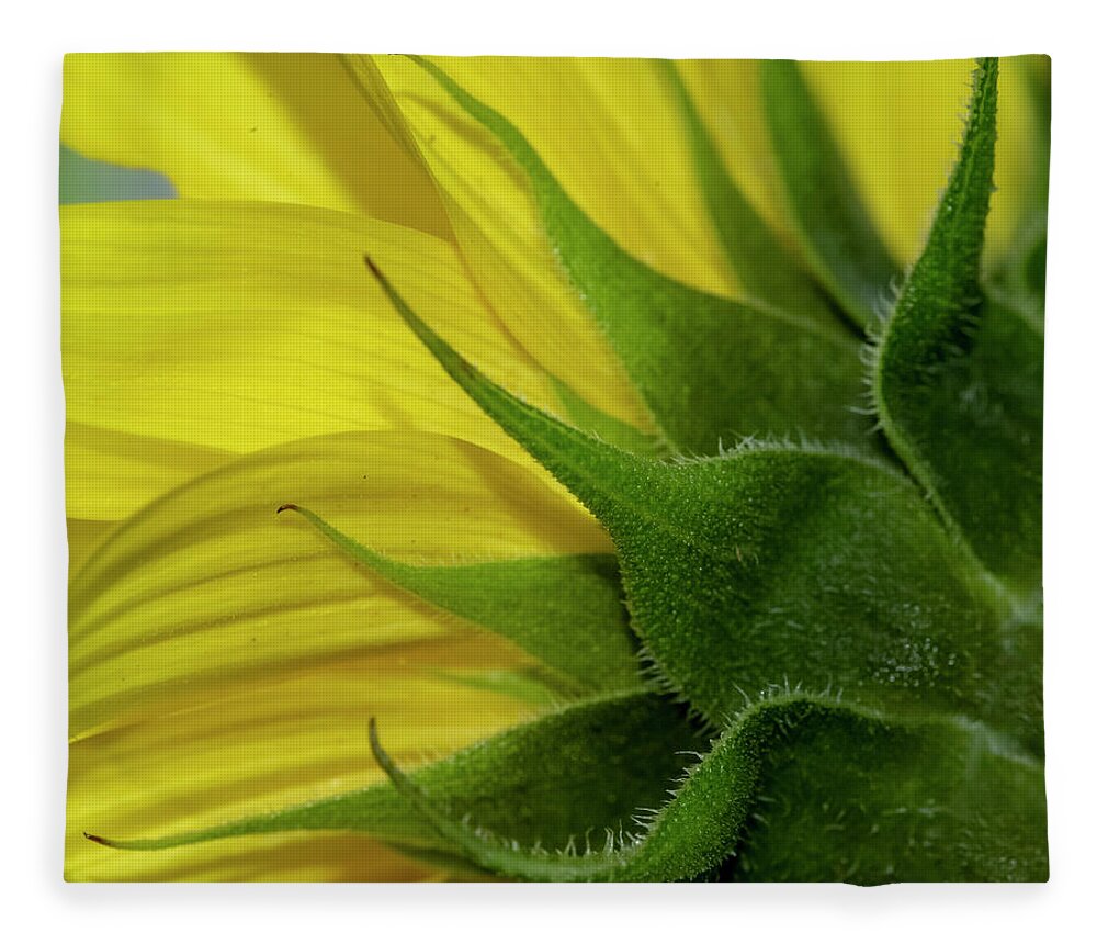 Yellow Fleece Blanket featuring the photograph Pointed by Cathy Kovarik