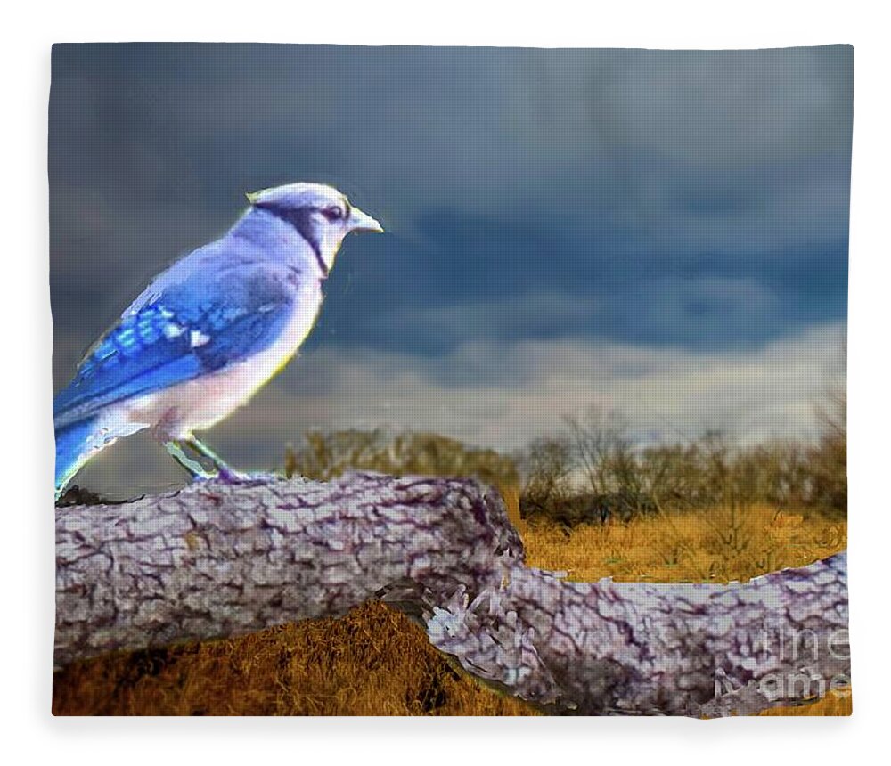 Bluejay Fleece Blanket featuring the mixed media Pondering Bluejay by Janette Boyd