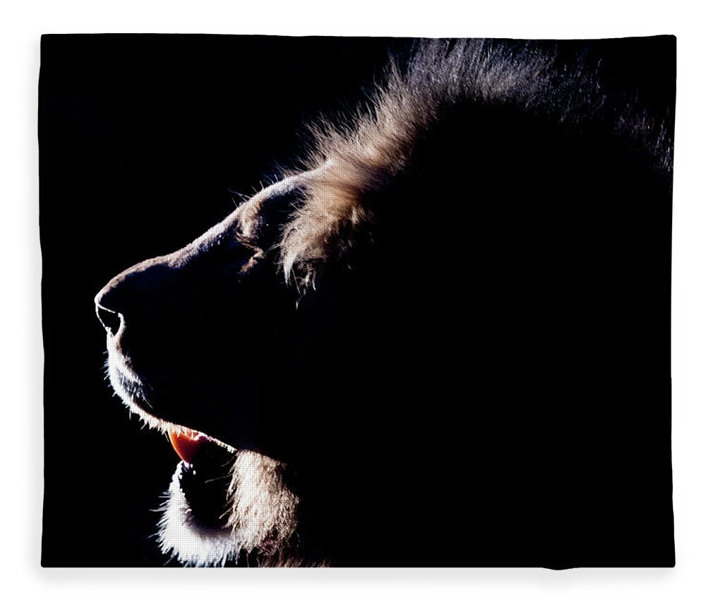 Lion Fleece Blanket featuring the photograph Portrait of a backlit male african lion by Mark Hunter