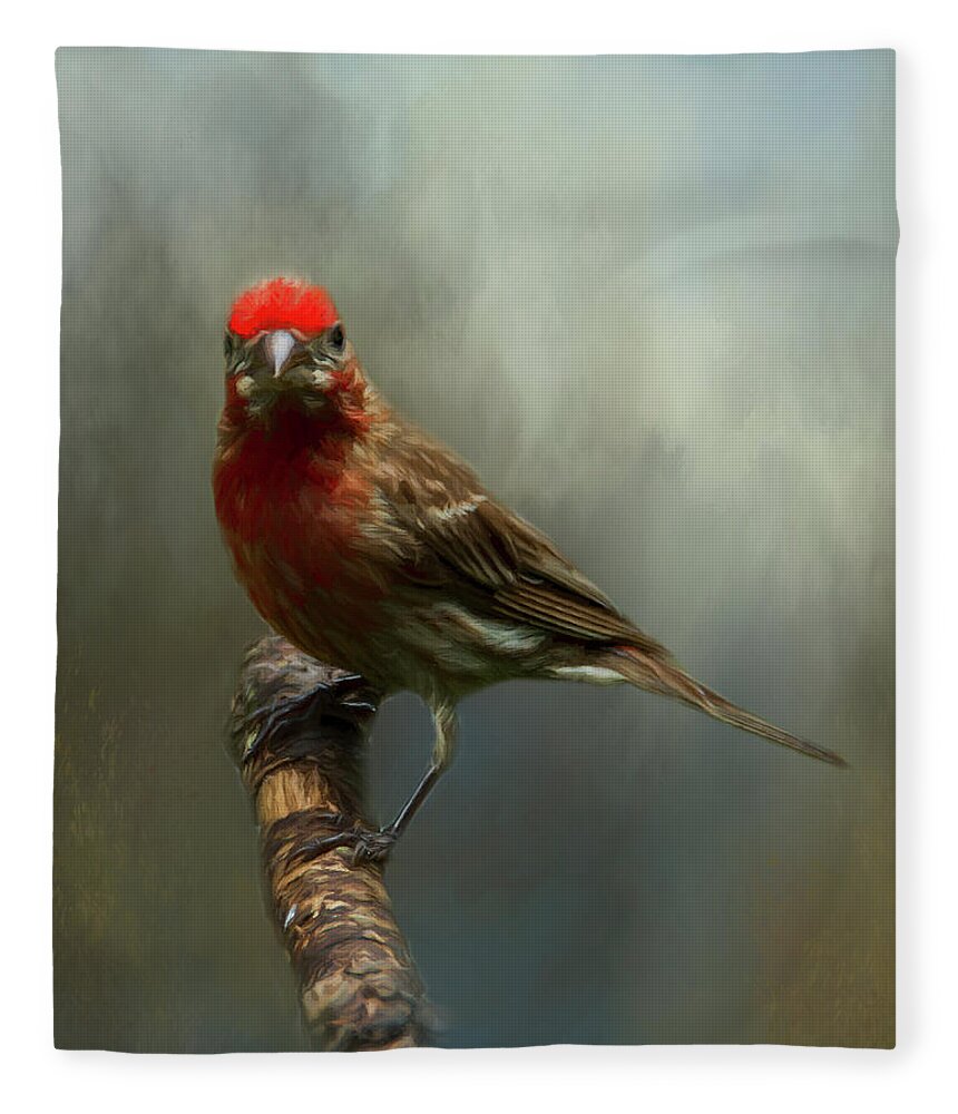 Avian Fleece Blanket featuring the photograph Portrait of a House Finch by Cathy Kovarik