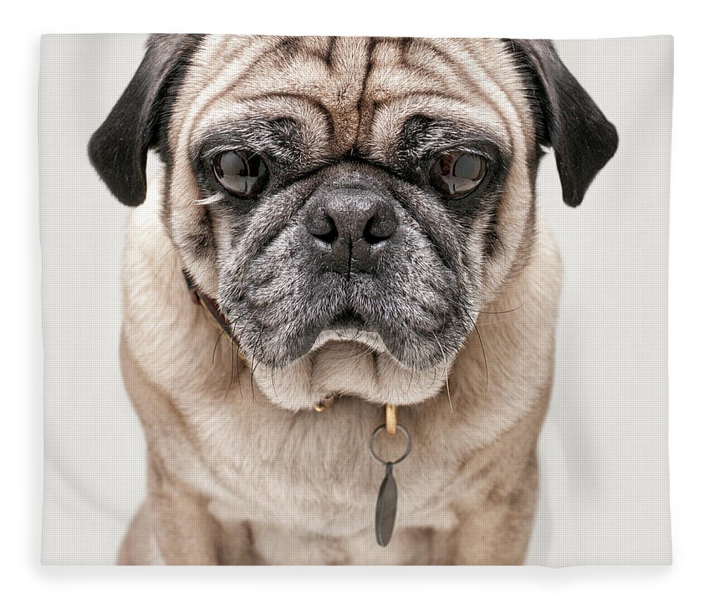 Pets Fleece Blanket featuring the photograph Portrait Of A Pug On A Light Background by Chad Latta