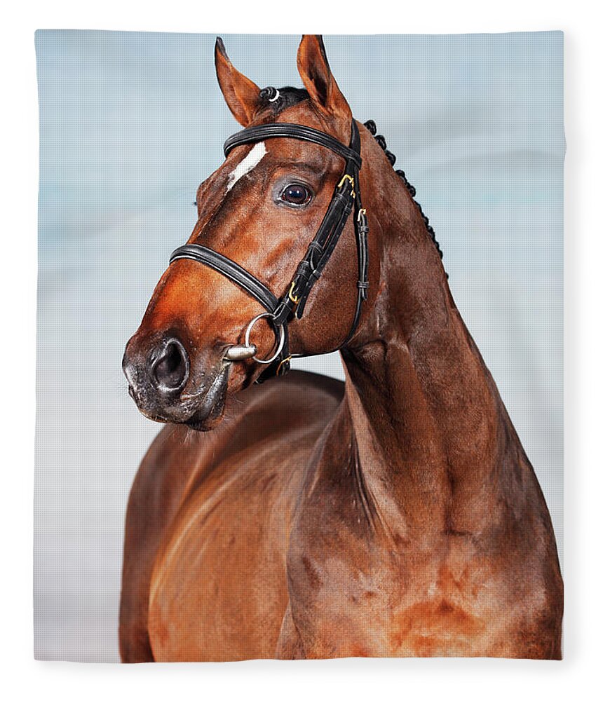Horse Fleece Blanket featuring the photograph Portrait Of An Old Thoroughbred Horse by Somogyvari