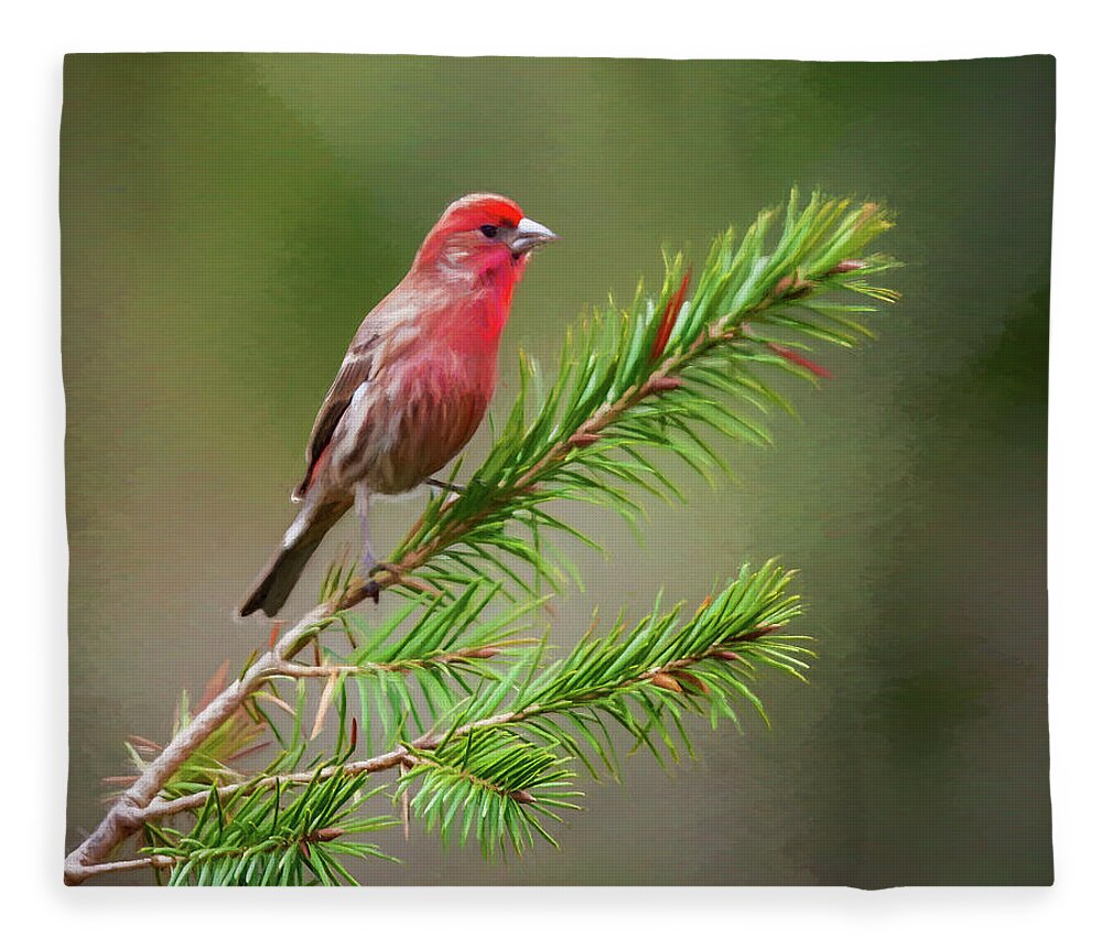 Finch Fleece Blanket featuring the photograph Pretty Bird by Cathy Kovarik