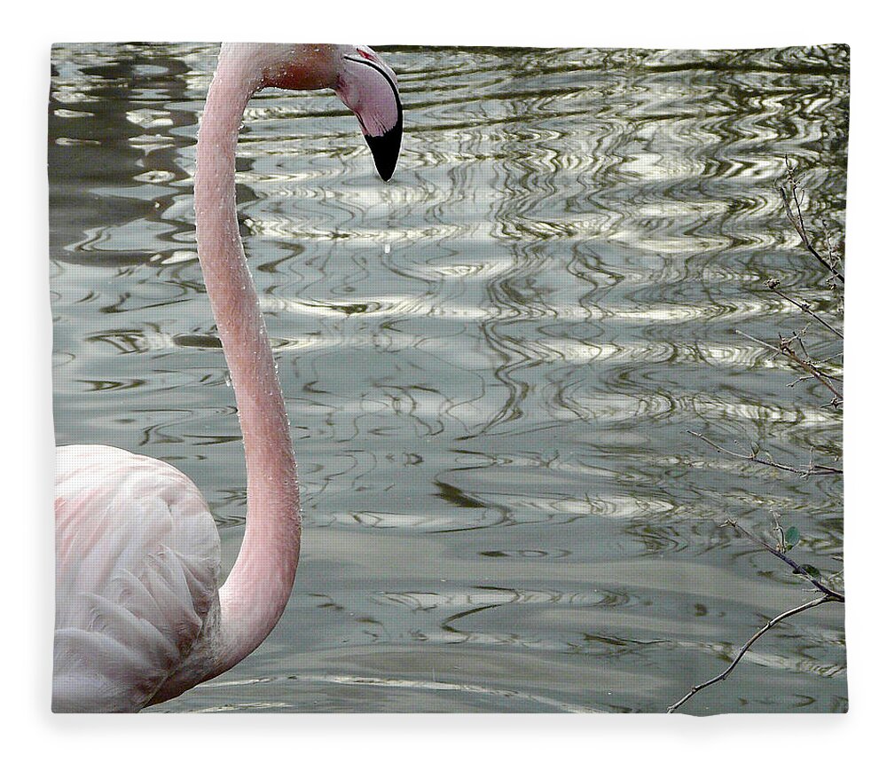Bird Watching Fleece Blanket featuring the photograph Profile Of Phoenicopterus Flamingo by Véronique Delaux Photography & Creating