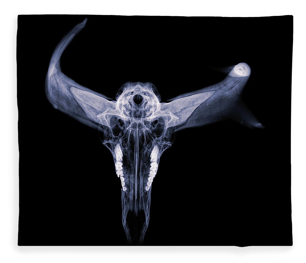 Kansas Fleece Blanket featuring the photograph Pronghorn x-ray 07 by Rob Graham