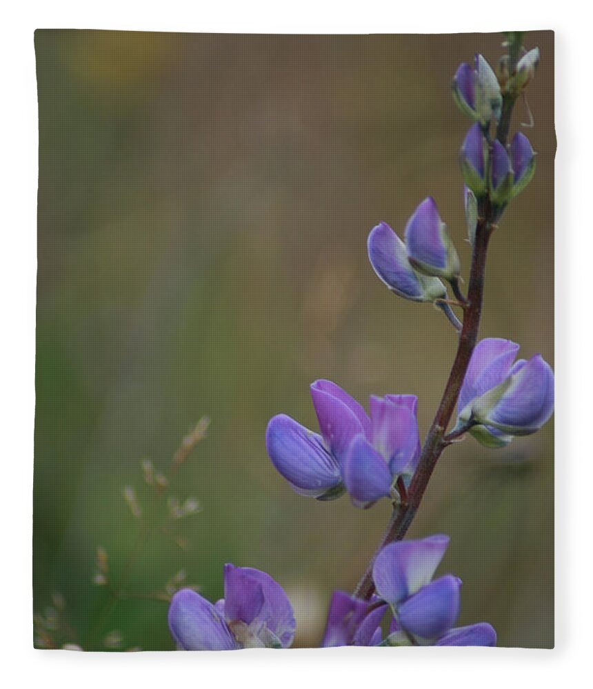 Wildflowers Fleece Blanket featuring the photograph Purple Bliss by Leslie Struxness