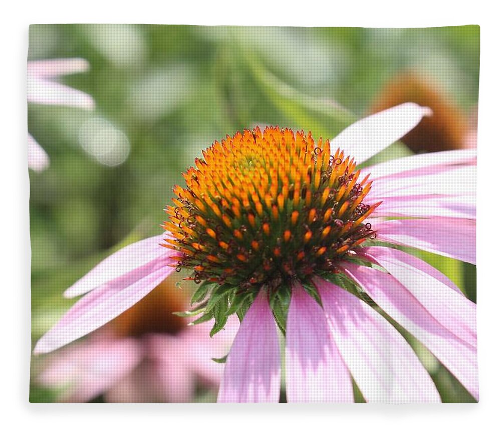 Purple Fleece Blanket featuring the photograph Purple Coneflower Bloom and Petals by Christopher Lotito