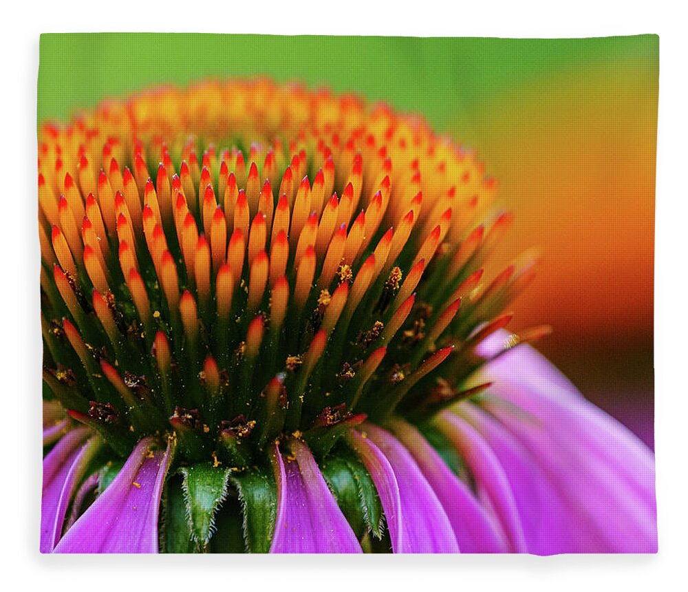 Echinacea Fleece Blanket featuring the photograph Purple Coneflower by Todd Bannor