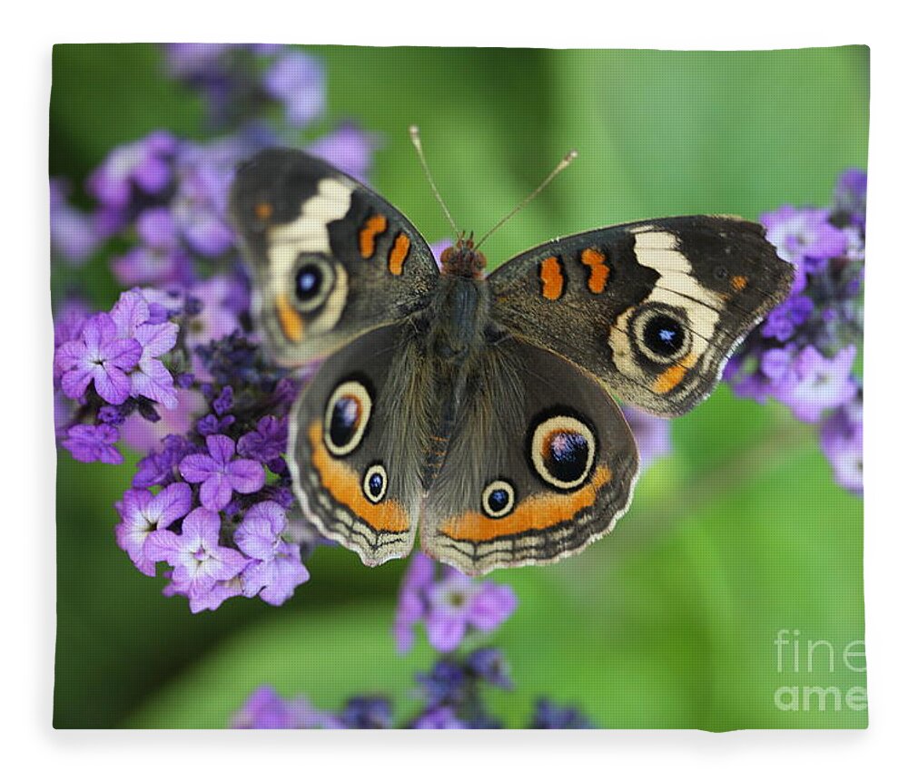 Buckeye Butterfly With Purple Flowers Fleece Blanket featuring the photograph Purple Flowers and Butterfly by Terri Brewster