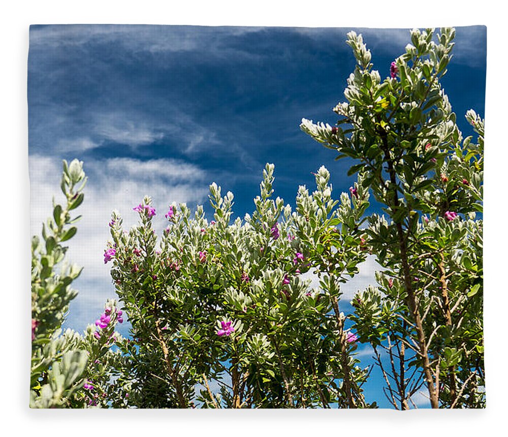 Purple Sage Fleece Blanket featuring the photograph Purple Sage and Sky by Ivars Vilums
