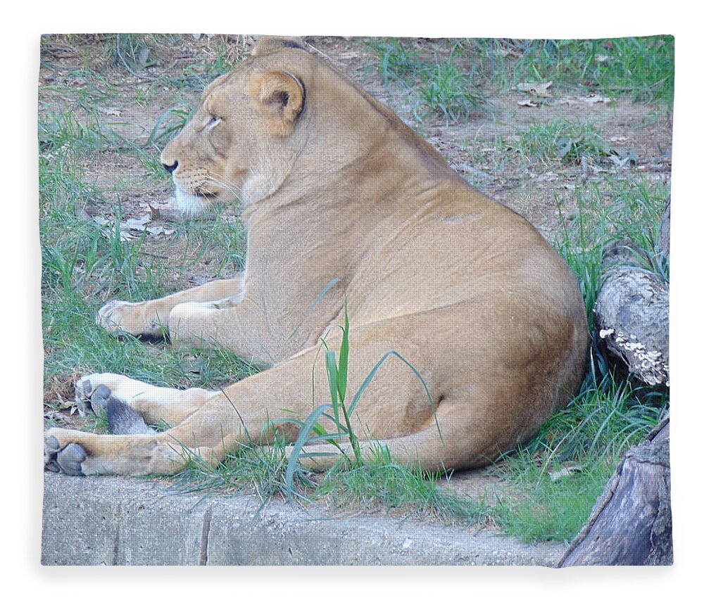 Lioness Fleece Blanket featuring the photograph Queen Lioness by Antonio Moore