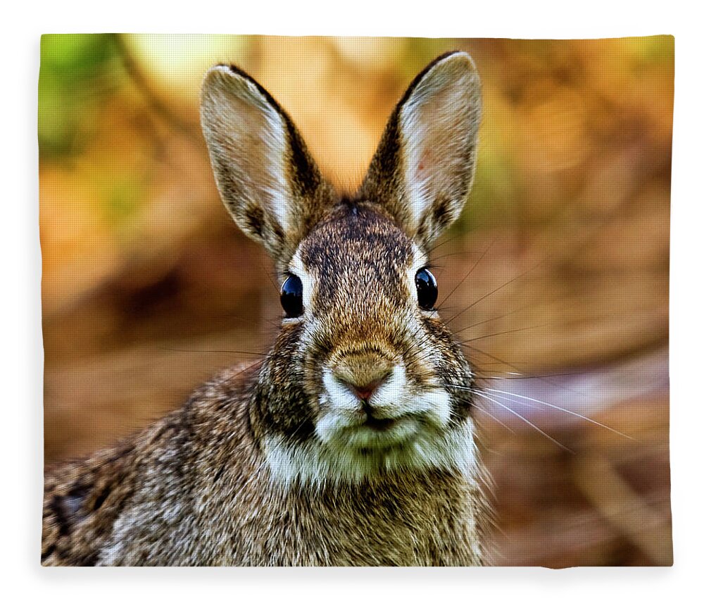 Animal Themes Fleece Blanket featuring the photograph Rabbit by Hvargasimage
