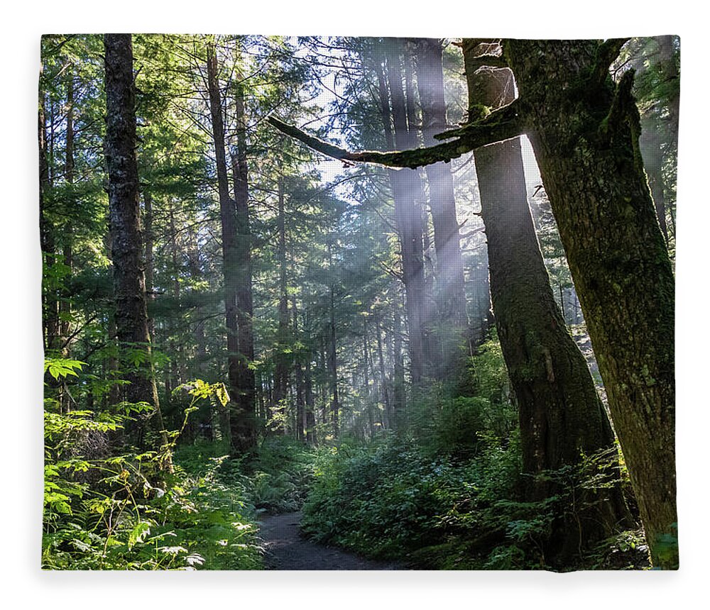 Background Fleece Blanket featuring the photograph Rain Forest at La Push by Ed Clark