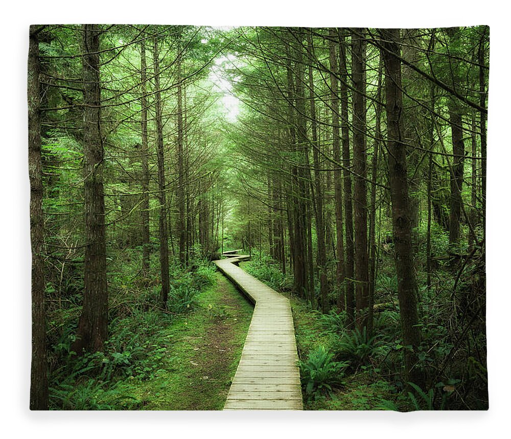 Tranquility Fleece Blanket featuring the photograph Rainforest Vancouver Island by Guillaume Vigoureux