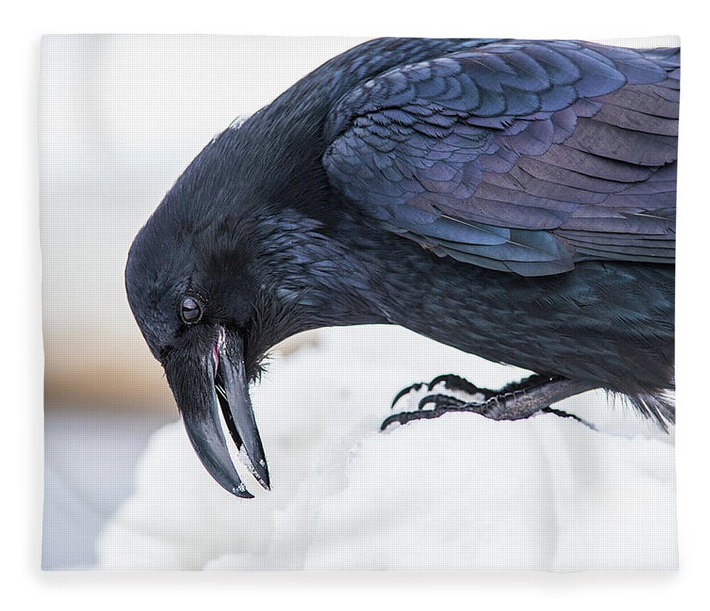 Raven Fleece Blanket featuring the photograph Raven 2 by David Kirby