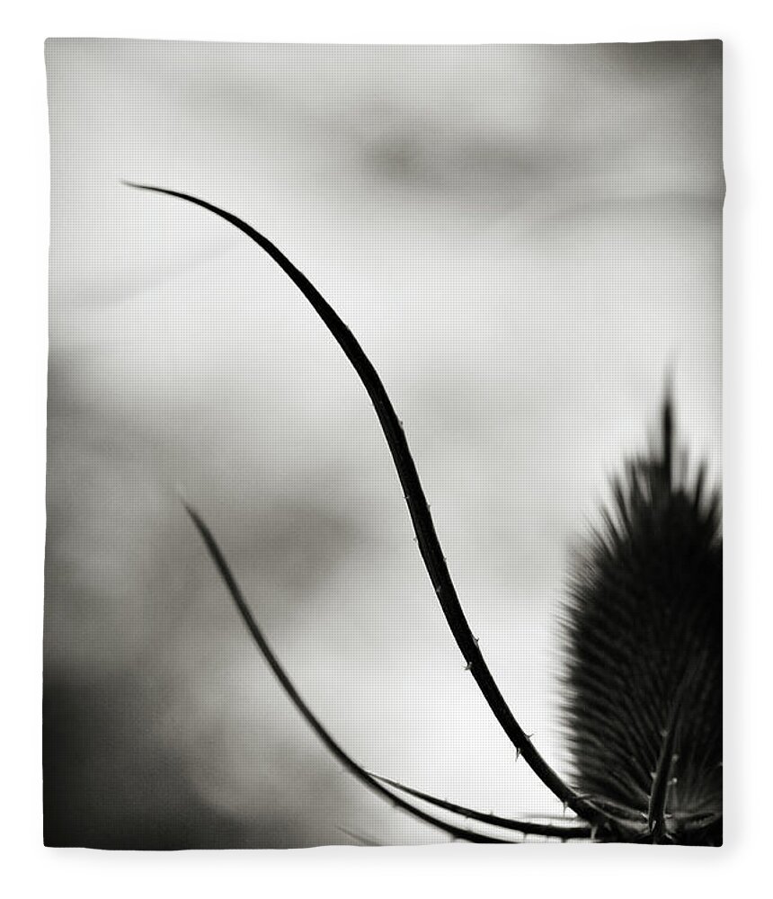 Thistle Fleece Blanket featuring the photograph Reach up by Michelle Wermuth