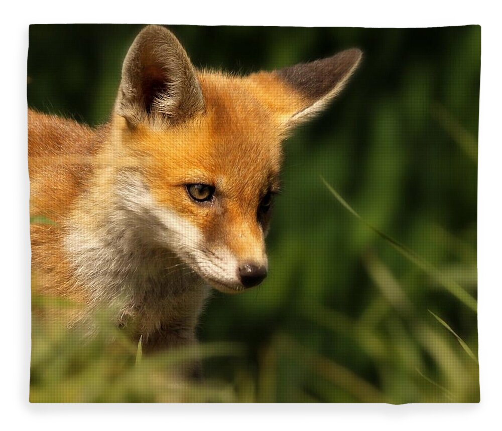 Alertness Fleece Blanket featuring the photograph Red Fox Cub In The Grass by Chris Jolley