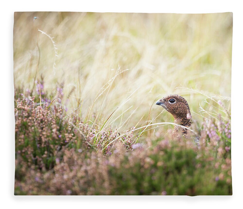 Female Red Grouse Fleece Blanket featuring the photograph Red Grouse by Anita Nicholson