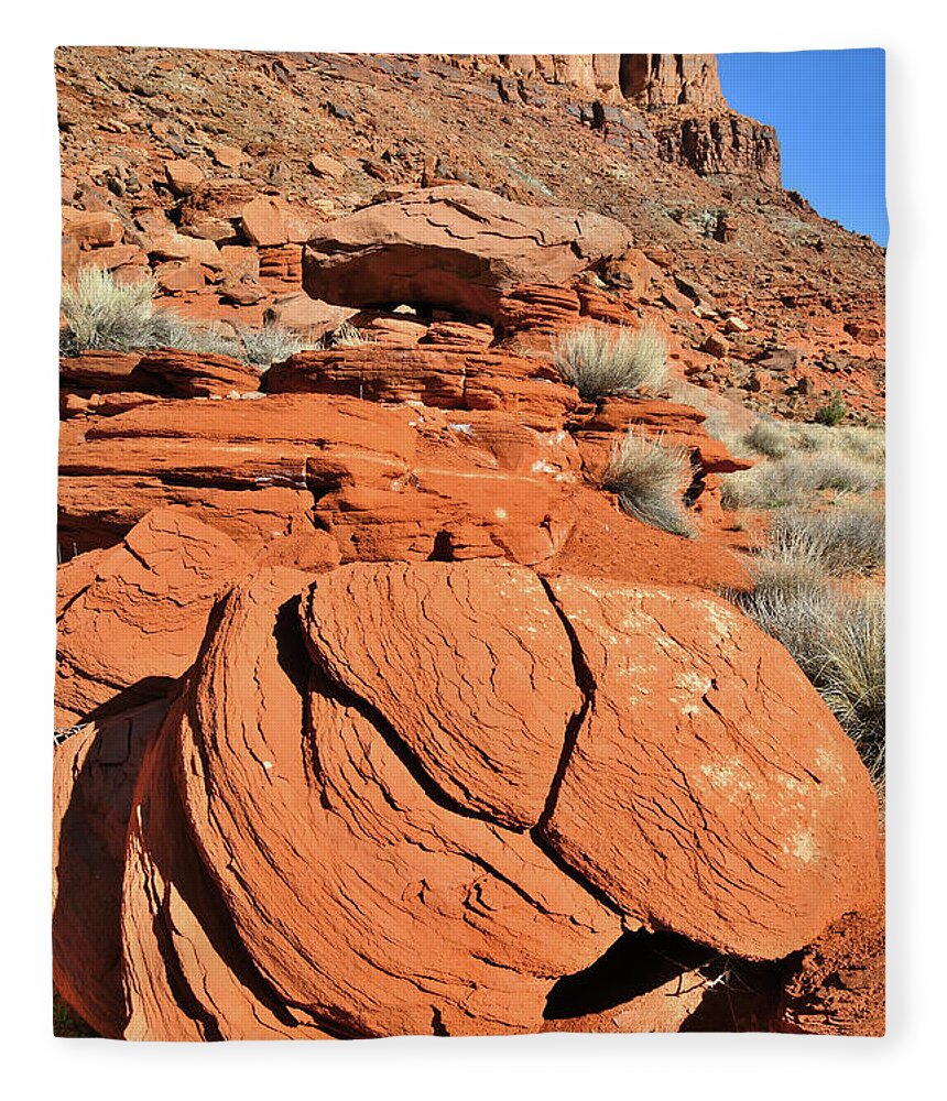 Red Rock Fleece Blanket featuring the photograph Red Rock Beauty near Moab Utah by Ray Mathis