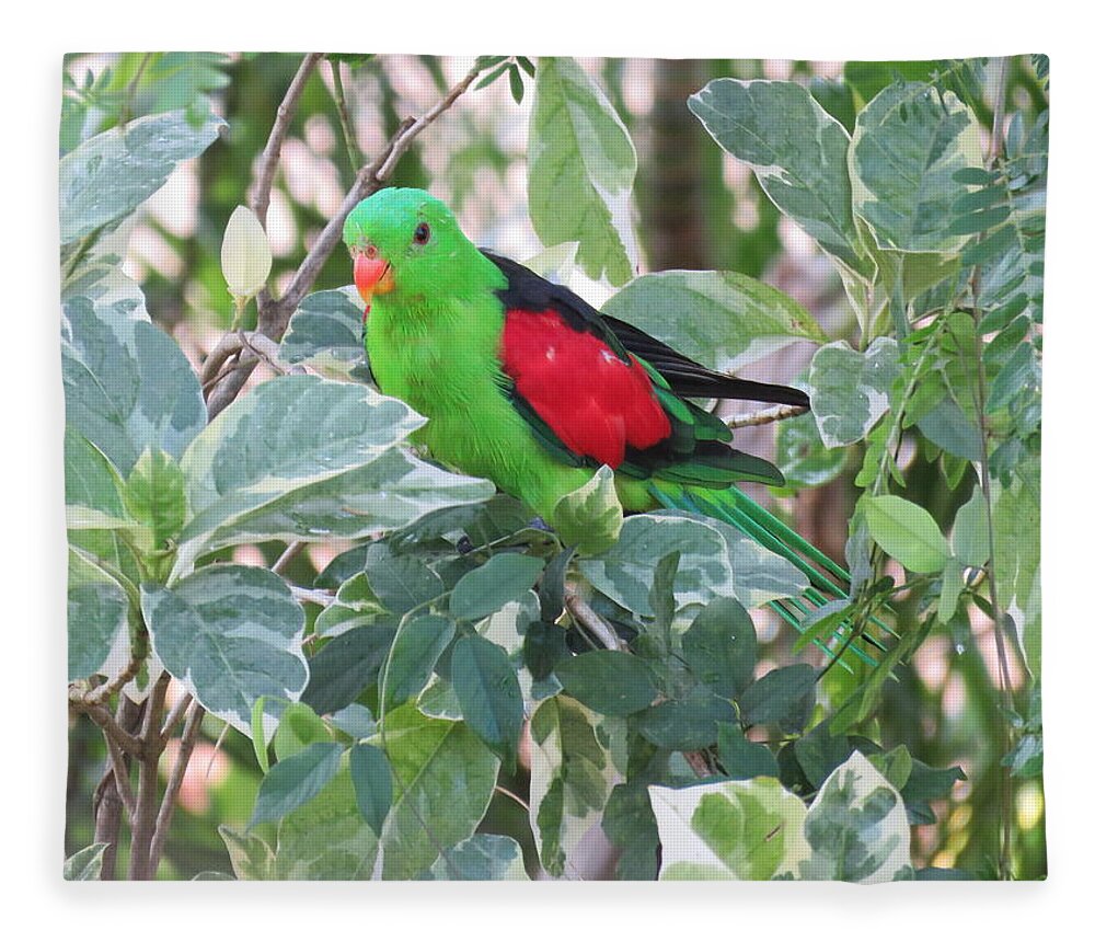 Red Winged Parrot Fleece Blanket featuring the photograph Red-winged Parrot by Joan Stratton