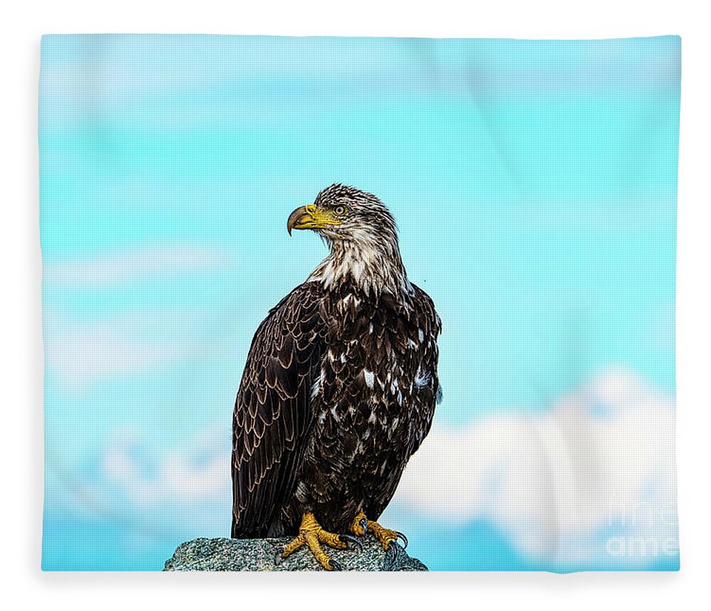 Animal Themes Fleece Blanket featuring the photograph Redoubt Eagle by Dave Simon