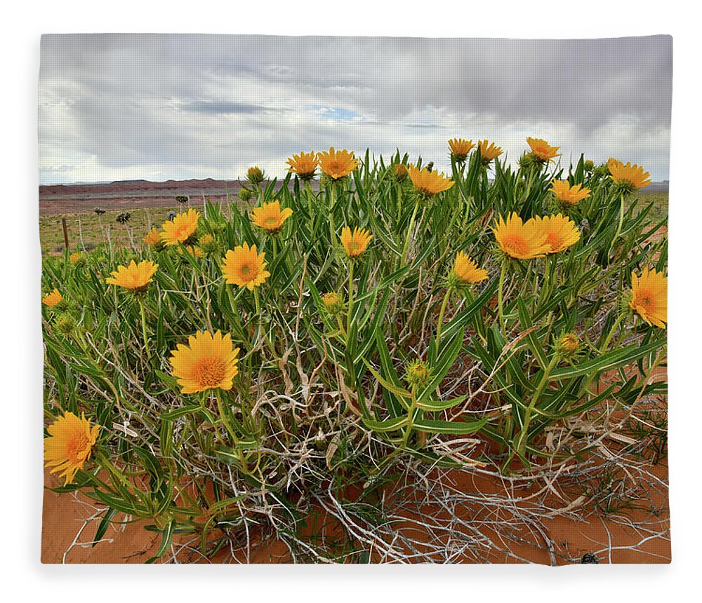 San Rafael Desert Fleece Blanket featuring the photograph Roadside Wildflowers along Highway 24 in Utah by Ray Mathis