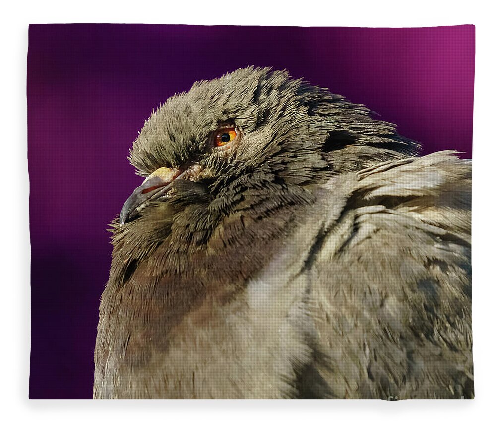 Feather Fleece Blanket featuring the photograph Rock Pigeon and Iron Fountain Headshot by Pablo Avanzini