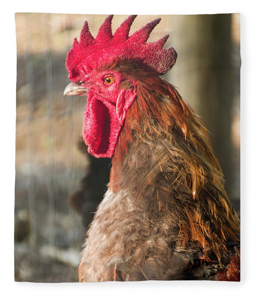 Chicken Fleece Blanket featuring the photograph Rooster Sunset by Louise Magno