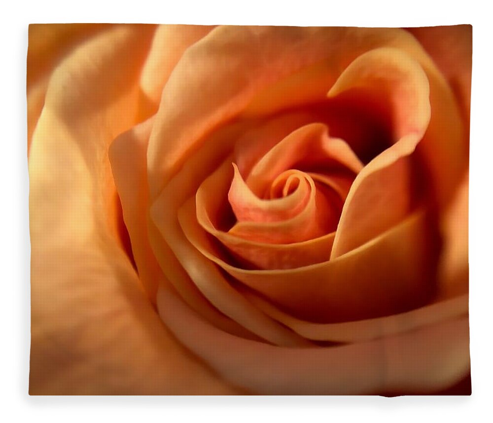 Flower Fleece Blanket featuring the photograph Melon-colored Rose by Anamar Pictures