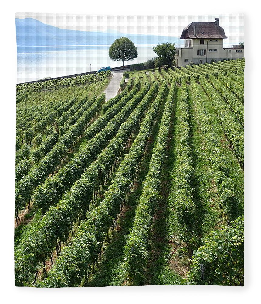 Vineyard Fleece Blanket featuring the photograph Rows and rows of vines by Patricia Caron