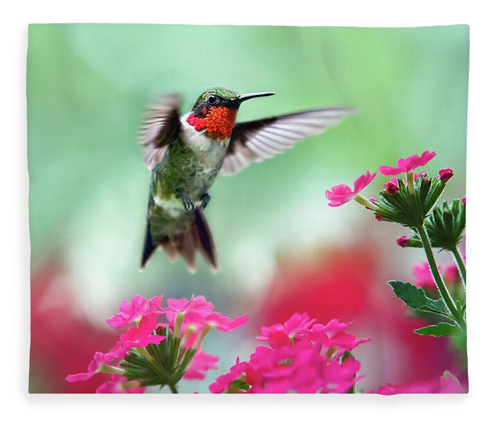 Hummingbird Fleece Blanket featuring the photograph Ruby Garden Jewel by Christina Rollo