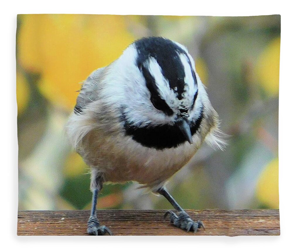 Birds Fleece Blanket featuring the photograph Ruffled Feathers by Karen Stansberry