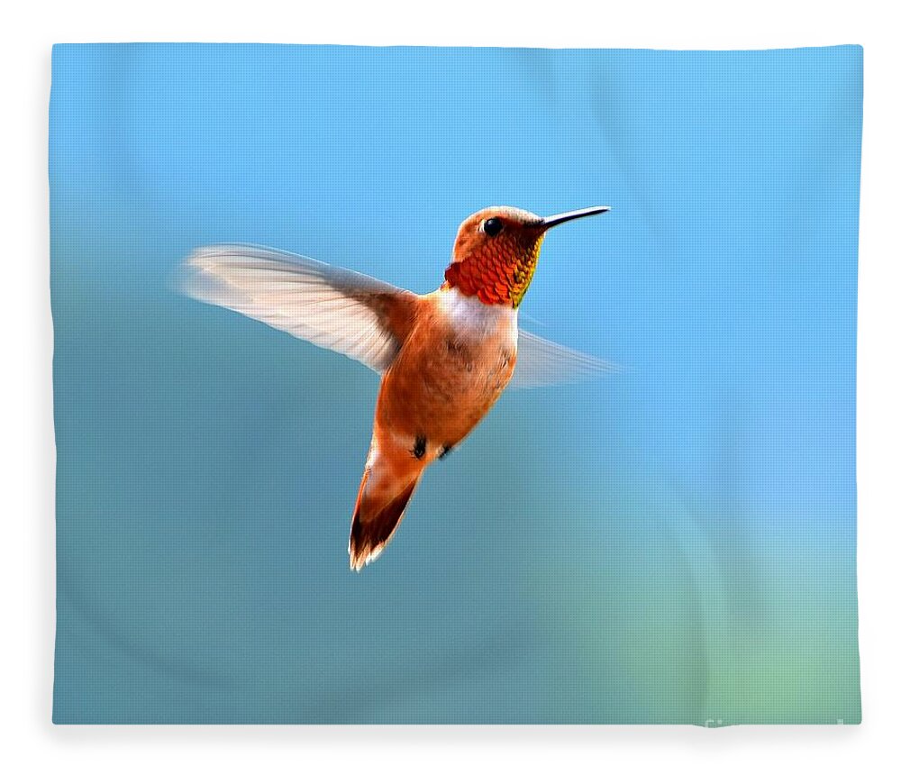 Hummingbird Fleece Blanket featuring the photograph Rufous in Flight by Dorrene BrownButterfield