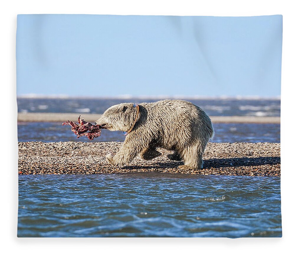 Arctic Fleece Blanket featuring the photograph Running Down The Beach by Juli Ellen