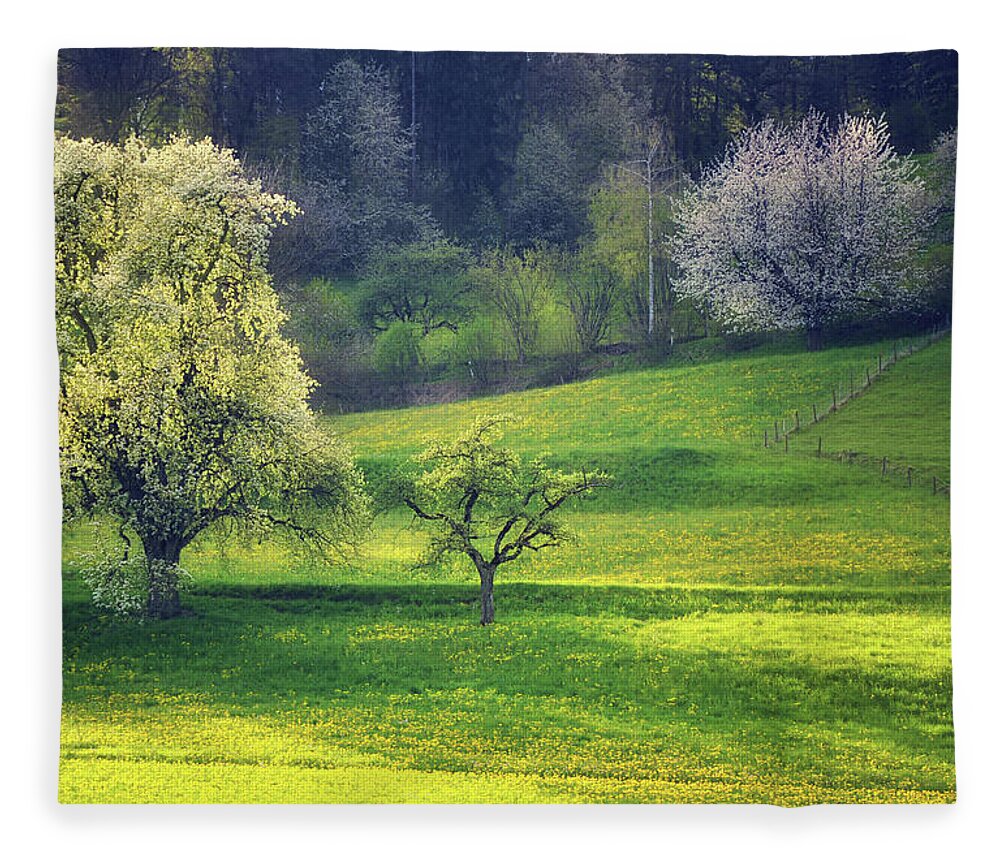 Scenics Fleece Blanket featuring the photograph Rural Landscape, Regensberg, Dielsdorf by Svjetlana