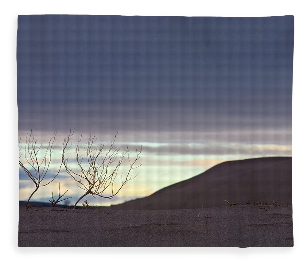 Sand Dune Fleece Blanket featuring the photograph Sand Dunes Growth by Donald E. Hall