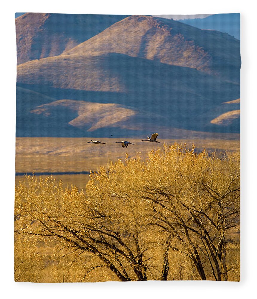 Grus Canadensis Fleece Blanket featuring the photograph Sandhill Cranes near the Bosque by Jeff Phillippi