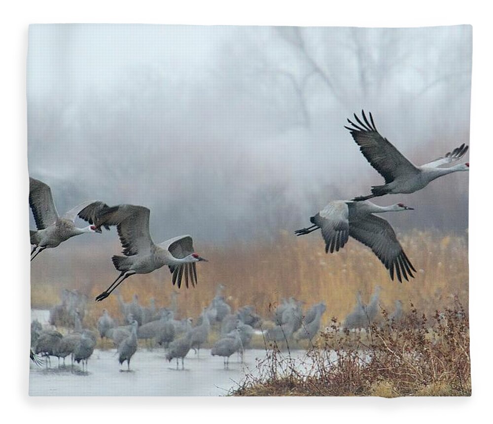 Dawn Fleece Blanket featuring the photograph Sandhill Cranes Take Flight by Diana Robinson Photography