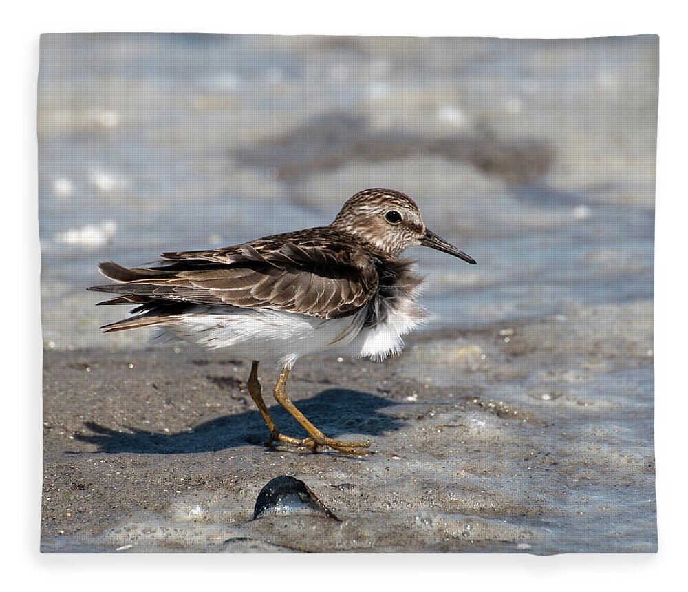Sandpiper Fleece Blanket featuring the photograph Sandpiper at Tidal Pool by William Selander