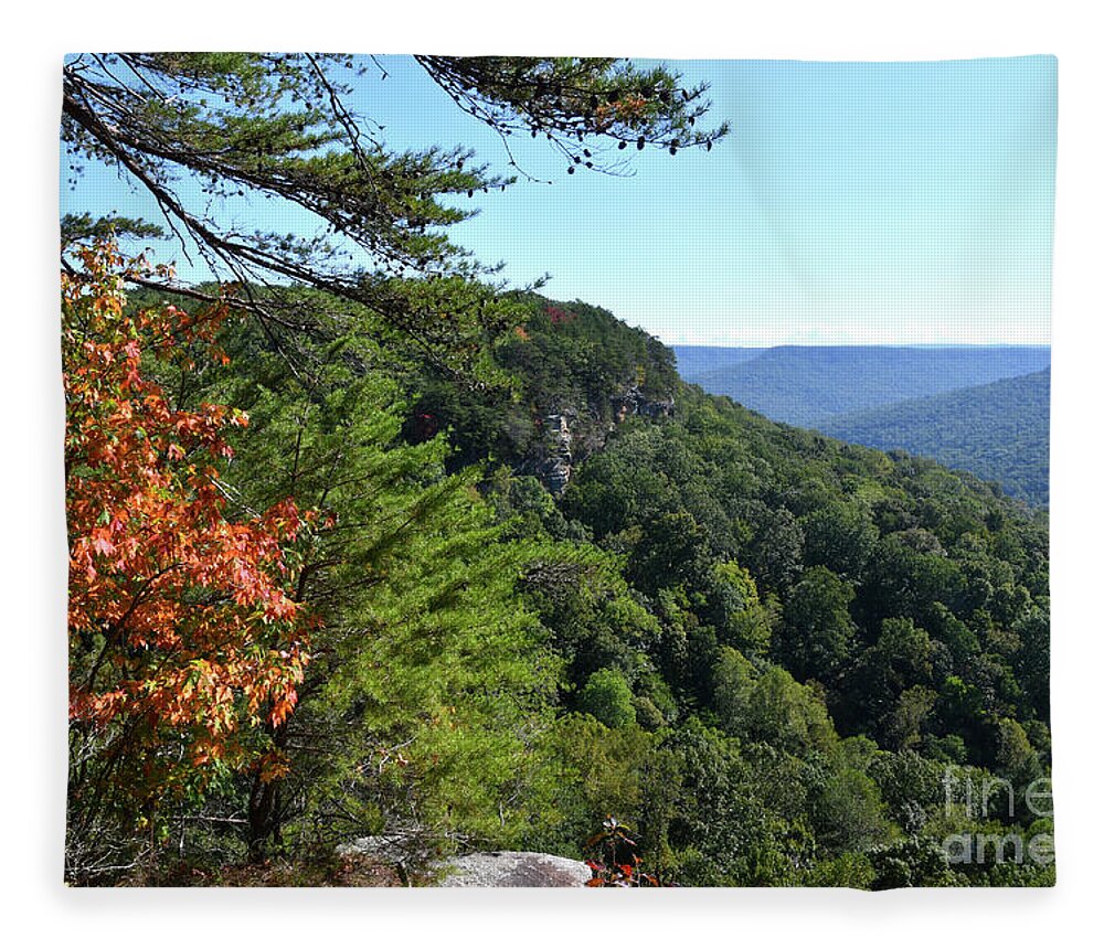 Savage Gulf Fleece Blanket featuring the photograph Savage Gulf 3 by Phil Perkins