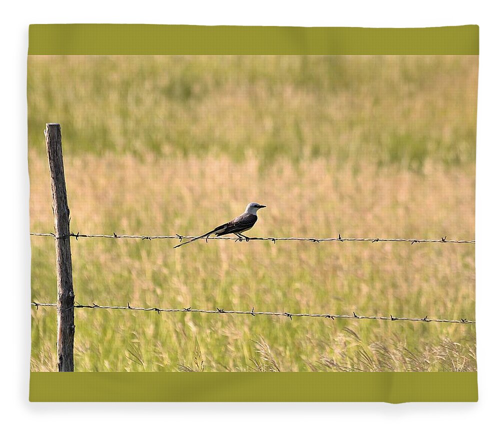 Nature Fleece Blanket featuring the photograph Scissor-tailed Flycatcher on Fence by Sheila Brown