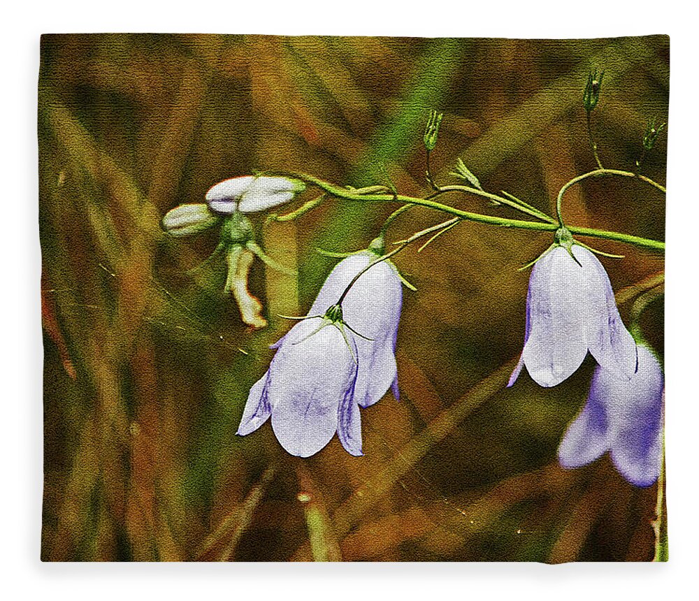 Scotland Fleece Blanket featuring the photograph SCOTLAND. Loch Rannoch. Harebells In The Grass. by Lachlan Main