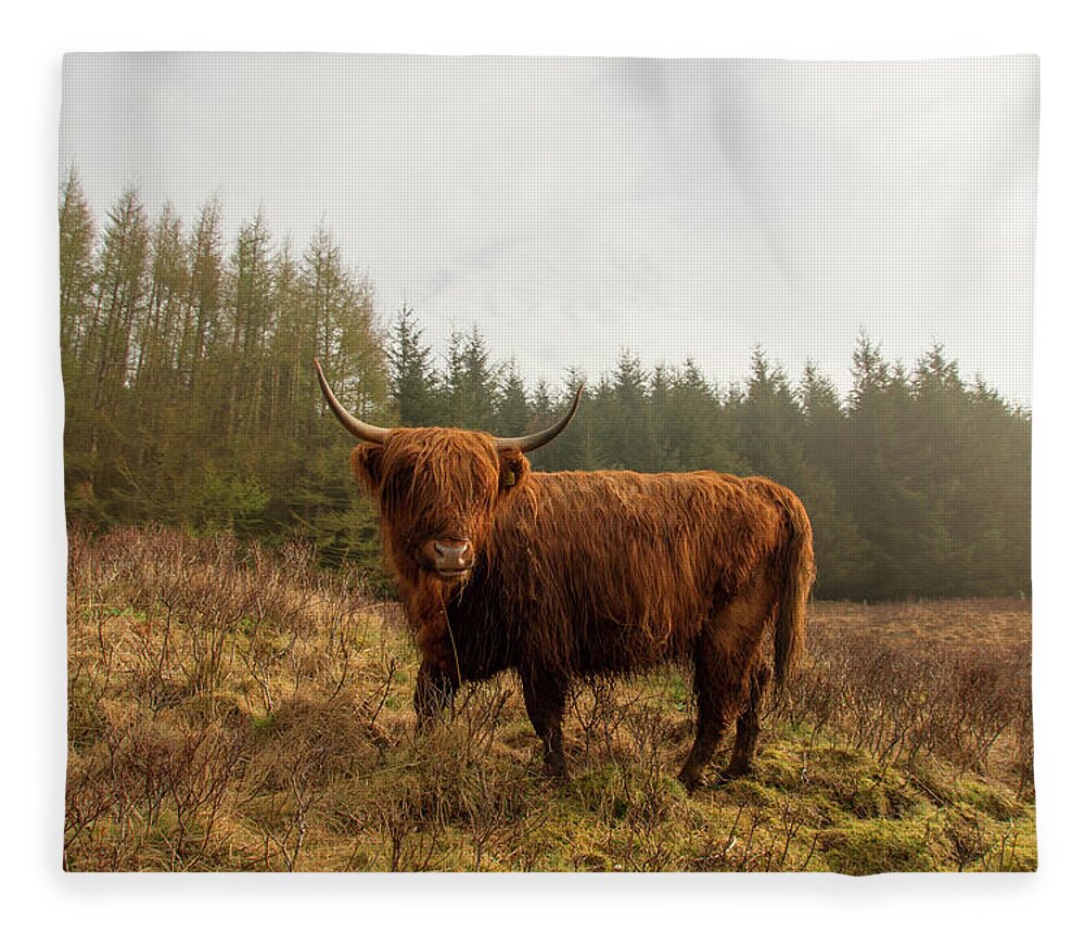Horned Fleece Blanket featuring the photograph Scottish Highland Cow by Photography By Spencer Bowman
