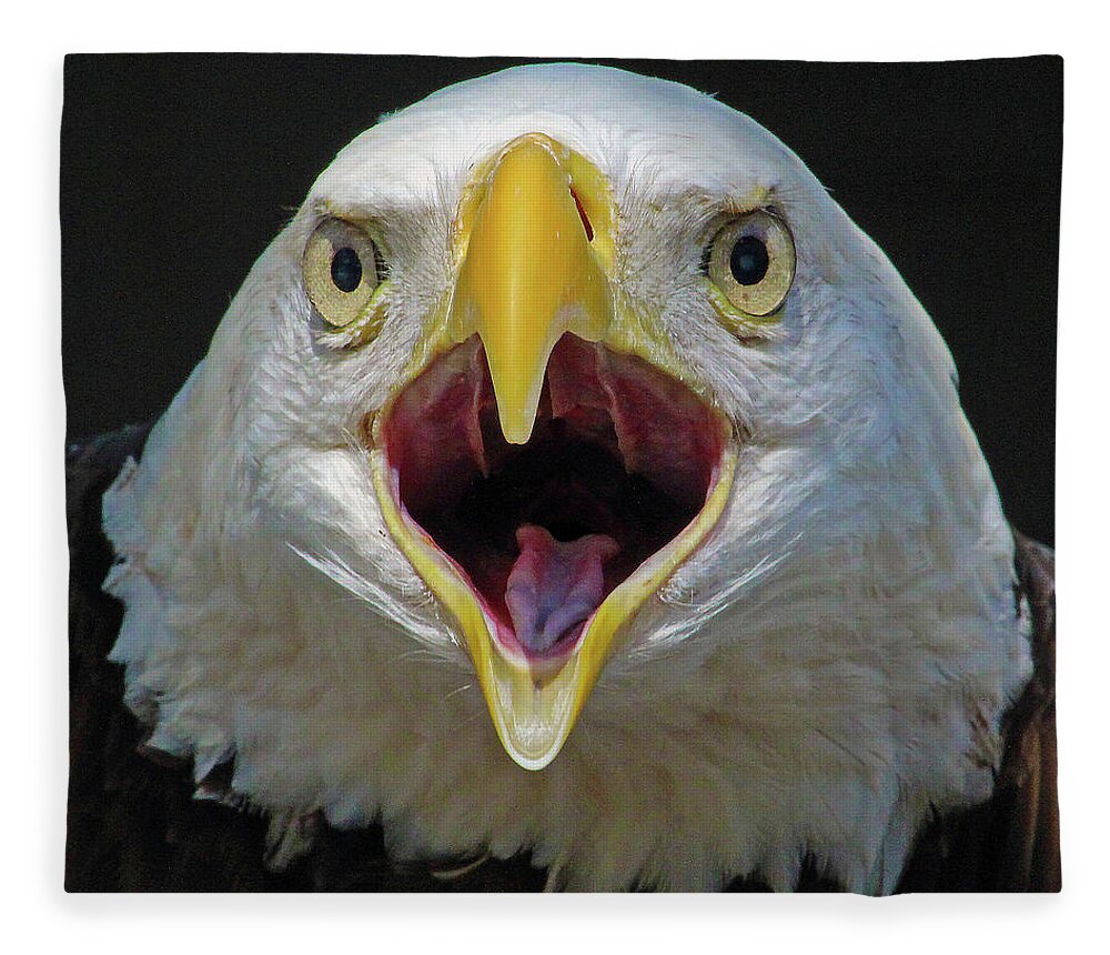 Eagle Fleece Blanket featuring the photograph Screaming Eagle by Michael Allard