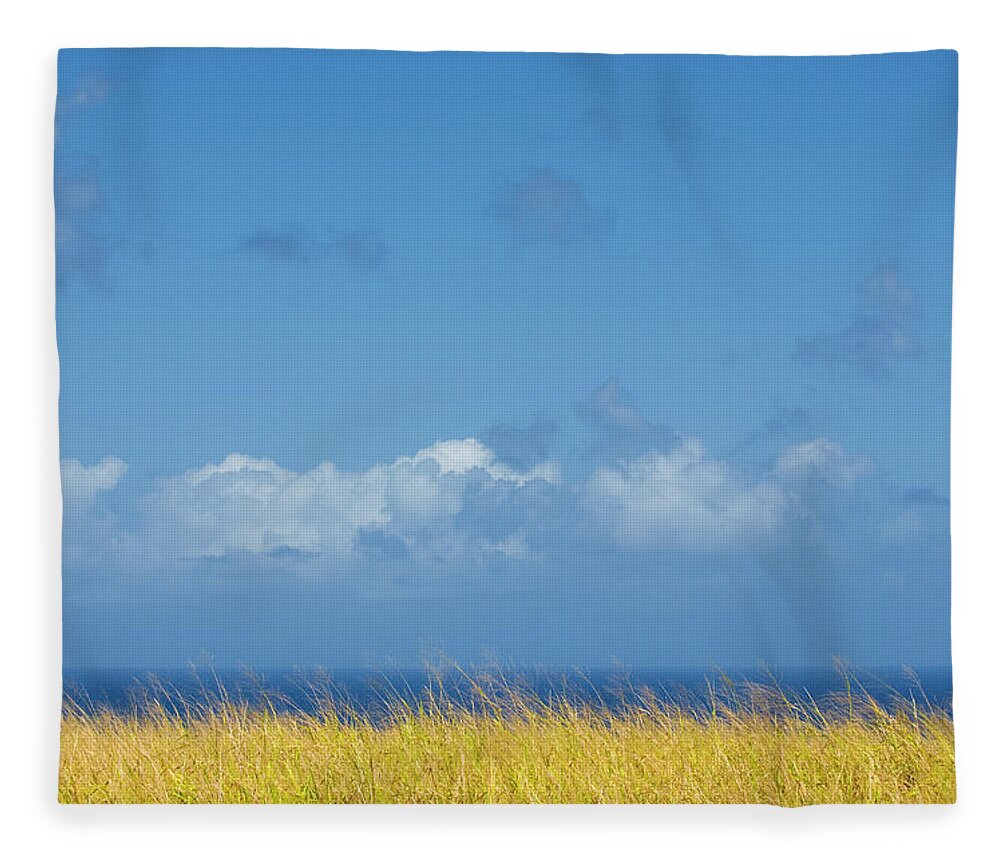 Scenics Fleece Blanket featuring the photograph Sea Grass And Blue Sky by Driendl Group