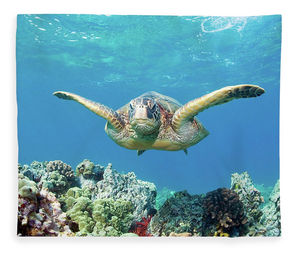 Underwater Fleece Blanket featuring the photograph Sea Turtle Maui by M.m. Sweet