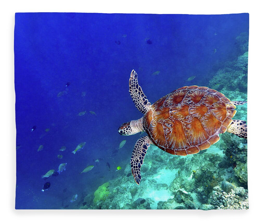 Animals In The Wild Fleece Blanket featuring the photograph Sea Turtle by Shan Shui