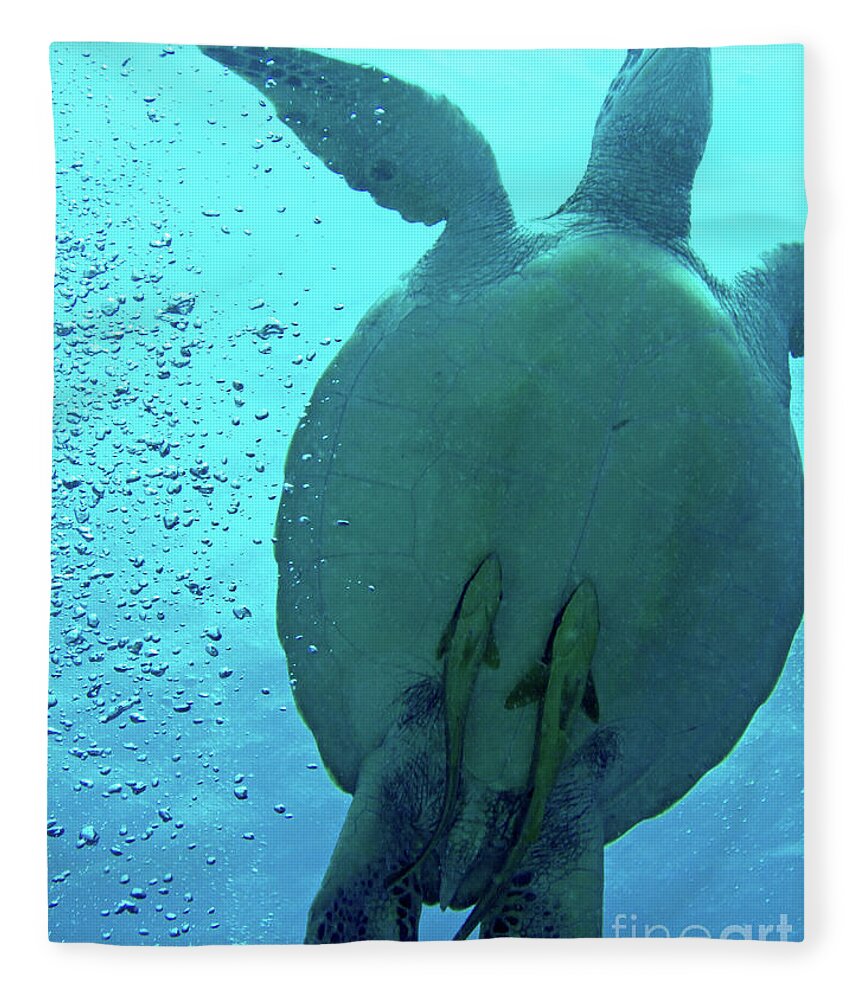 Sea Turtle Fleece Blanket featuring the photograph Sea Turtle Stowaways by Becqi Sherman